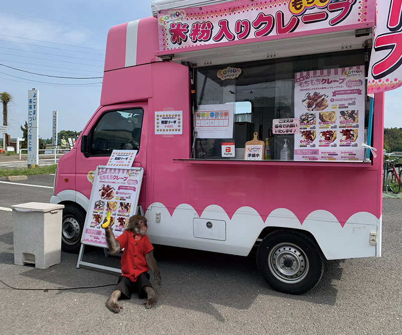 こっとんカンパニー